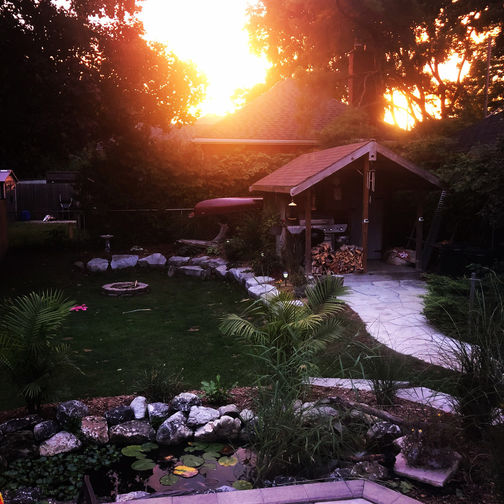 Sunset view of backyard and pond. A project by O'Connor Stone & Landscape