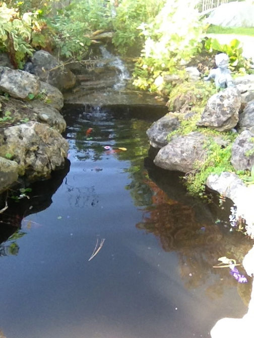 Pond with waterfall. A water feature project in London Ontario region by O'Connor Stone & Landscape