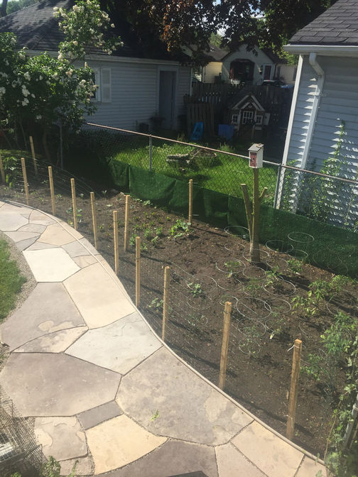 Custom cut random flagstone walkway. A stone walkway project in London Ontario region by O'Connor Stone & Landscape.