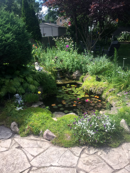 Pond with water fall & planting. Water feature project in London Ontario region by O'Connor Stone & Landscape